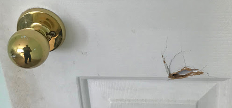 interior door hole repair San Martin